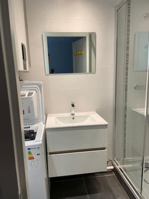 Le Bon Quai Apartment Grenoble